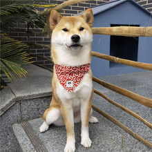 柴柴 【项圈/三角巾两件套装】宠物猫狗狗柴犬唐草纹樱花和风日式口水巾领巾颈圈脖套遛狗项圈 红唐草 S(脖围24-39cm)5-15斤