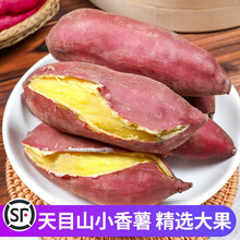 【顺丰发货】临安天目山小香薯新鲜红薯板栗小番薯地瓜蜜山芋蕃薯 大果（5斤15个左右） 5斤