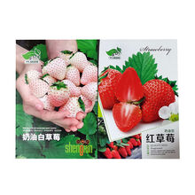 奶油白草莓种子红草莓种子四季盆栽草莓苗子奶莓种籽阳台盆栽庭院 奶油红白草莓(各一袋)
