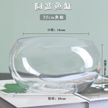 办公室小鱼缸加厚透明玻璃乌龟缸客厅家用桌面圆形迷你小型金鱼缸 20鼓缸（裸缸）