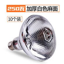 兽用养殖保温灯加厚小鸡宠物育雏取暖灯仔猪用加热保暖灯泡 白色麻面250瓦(10个装)