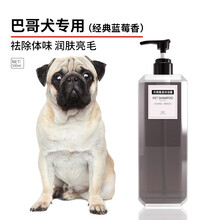 巧豆巴哥专用沐浴露宠物香波八哥犬狗狗杀螨除菌止痒杀菌除臭持久留香 巴哥犬定制500ml「经典蓝莓香」
