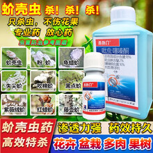 蚧壳虫专用药蚧必治杀虫剂介壳灵内吸型荣邦杀扑介果树花卉多肉蚜虫白粉虱渝锄店 500g*1瓶