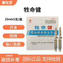 (shijia)兽用兽药樟脑磺酸钠注射液 厌食低烧强心针猪药狗牛羊药兴奋中枢低温低烧强心急救 1盒