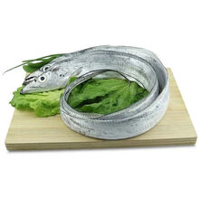 海鲜鱼无冰带鱼 特大带鱼批发整条小眼带鱼 鲜活 9斤装 1斤约3条东海舟山油带鱼