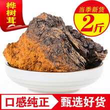 品茸堂 长白山白桦茸桦褐孔菌桦树茸桦树泪粉小块桑 黑金桦树茸 桦树茸2斤