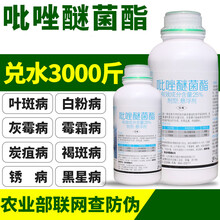 吡唑醚菌酯酯炭疽病褐斑白粉病斑嘧菌脂密菌脂农药杀菌剂农用农药 100g
