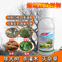 三氯吡氧乙酸除杂草烂根无色无味杀树王大树烂根渗透灭树剂除草剂 100g