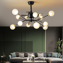 樊胜 吊扇灯变频客厅风扇灯餐厅电风扇带灯吊扇轻奢北欧简约现代卧室电扇吊灯 12头三色+变频