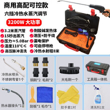 高温高压蒸汽清洁机洗车机商用家用空调厨房油烟机清洗机消毒工具 3200W商用高配-脉冲清洗热水器-六档冷热水蒸汽