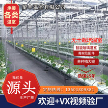 鲸榜无土栽培生态餐厅育苗温室养殖种植智能玻璃钢管热镀锌骨支架农业用连体联栋薄膜蔬菜春秋大暖棚配件全套 生态餐厅温室
