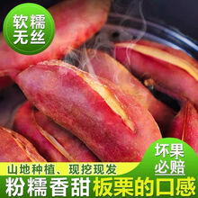 10斤现挖农家新鲜红薯软糯香甜白心板栗番薯2/10斤 5斤大果