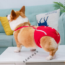 狗狗安全裤母狗狗生理裤女狗卫生裤绝育神器姨妈裤柯基法斗安全月经裤防交配 搭啵兔 红色纽扣款 不掉不漏 L码【腰围40-55cm】适合15-25斤