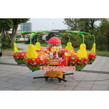 摆摊轨道小火车夜市广场游乐设备玩具车户外流动厂家直销大型电动 蝶恋花