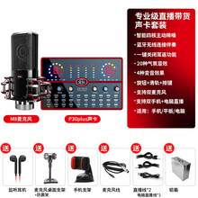 金运V18直播专用声卡设备全套手机套装抖音通用台式电脑主播电容麦克风网红变声器级K歌神器全 【大师级】进口P30P声卡+振膜麦【铝箱全套】 所有声卡均已精调后发货，到货即可使用0难度，终身质