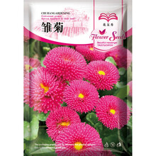 花友秀 雏菊种子 盆栽易种花卉种子幸福花籽春秋季播四季易种活开花不断菊花种子 重瓣雏菊种子混色 1克约1000粒 厂商封装