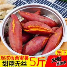 新鲜蜜薯斤农家自种红薯板栗薯地瓜糖心小山芋番薯 2500g 大果