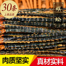 敬贤堂 蜈蚣干蜈蚣红头蜈蚣 蜈蚣30条