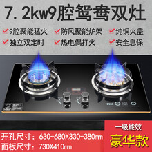 日本樱花煤气灶双灶家用天然气嵌入式台式液化气燃气灶九枪猛火灶OL 猛火7.2kw九头鸳鸯豪华款双定时 液化气