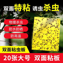 大灰狼 双面粘虫板大号黄板诱捕虫板纸贴黄色沾害虫蓟马黑虫灭小飞虫果蝇粘板大棚茶果园 大号(25*20)cm 室内外通用