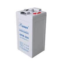 BUDDY 宝迪蓄电池GFM-300,2V