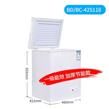 聚力（J）专卖一级节能小冰柜家用冰箱冷冻柜迷你冰柜小型无霜冷藏小冷柜 42S118节能加厚款【一级节能】