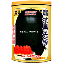 赣抗黑先锋西瓜种子黑皮大果红瓤甜脆农家春秋播种精选西瓜种 赣抗黑先锋原装50克x5罐