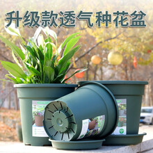 环球 圆形加厚树脂绿萝兰花月季大号花盆 塑料种花盆室内阳台办公室多肉君子兰蝴蝶兰户外发财树铁树种植盆 军绿色2加仑带托盘-口径22.5cm