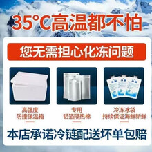 【活蟹】 大闸蟹鲜活 六月黄全公蟹 全母蟹 公母配对河蟹稻田蟹喜鲜德现货大螃蟹螃蟹河蟹 【赠品勿拍】【附带品】保温箱 冰袋 保温袋 8只