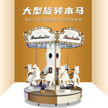 史可威（Shikewei）机械游乐设备 网红同款6人旋转木马 室内外广场游乐设备