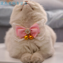 新款！猫领结项圈蝴蝶结挂脖猫牌宠物狗狗装饰铃铛饰品配饰猫咪可爱领带 (粉色)缎带蕾丝领结 XS-超小型