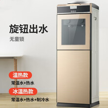 饮水机家用立式冷热迷你小型台式宿舍办公室节能冰温热制冷开水机 土豪金 温热