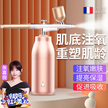 法国VLVEE高压注氧仪家用纳米喷雾补水仪小气泡清洁美容仪器美容院便携式精华导入 升级款香槟色【注氧嫩肤+2档可调+智能定时】