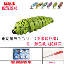 稚气熊 男孩玩具7-10岁 遥控蛇仿真蛇模型动物玩具 送儿童节创意礼物 电动毛毛虫(颜色随机发) 标配版