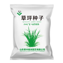 美外  草坪种子  20斤装  四季青狗牙根草籽猎狗五号剪股颖庭院免修剪耐寒草坪草绿化 猎狗五号 20斤