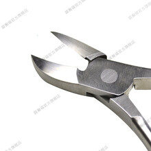 陇聚福 小猪剪牙钳牙齿断齿兽用给兔子剪牙器钳子不锈钢中号奶仔猪牙剪猪 14厘米弯头