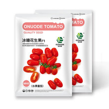 中科茂华蔬菜种子冰糖花生果樱桃番茄种子圣女果酸甜口小西红柿阳台盆栽100粒