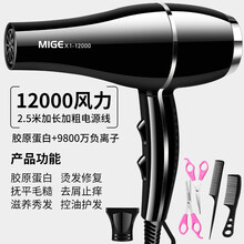 德国进口吹风机家用速干理发店专用大功率3000W负离子护发宿舍静 贵族黑进口12000大风送三加剪刀 发廊家用造型版