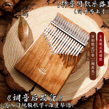 hluru鲁儒拇指琴卡林巴琴21音17音手指琴羊阿宝马林巴成人初学男女生迷你便携式抖音同款送礼物乐器 B类17音方形板式（相思木）+全套教学