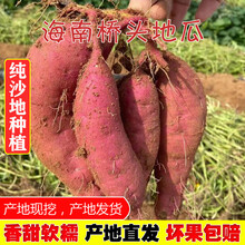 海南澄迈桥头富硒地瓜新鲜红薯黄心番薯板栗薯10斤带箱 5斤 小果