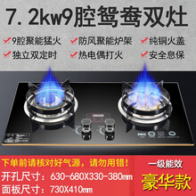 日本樱花草家用煤气灶双灶嵌入式灶具天然气猛火灶台式液化气燃气灶 7.2KW九头鸳鸯(豪华款)双定时 天然气