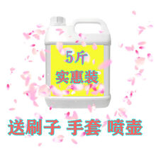 优工坊高浓度草酸清洁剂厕所瓷砖强力去污水泥地板砖外墙除垢马桶洁厕 5斤桶装(手套 喷壶 刷子)