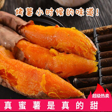 现挖沙地红心蜜薯西瓜红番薯地瓜红薯新鲜红蜜薯5斤河南开封直销 现挖5斤 蜜薯