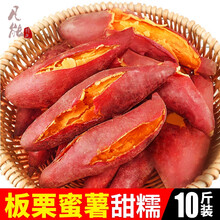 蜜薯板栗红薯新鲜10斤中果农家红心地瓜沙地小番薯香糖心烟山芋 10斤 中果