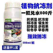 植物防冻液抗冻剂果树防寒植物抗寒防冻液植物防冻剂 高纯度500ml（送量杯1套）