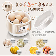 小熊（Bear）电炖盅 电炖锅炖汤煲宝宝辅食炖燕窝蒸蛋早餐隔水炖 白瓷0.8L单胆DDZ-A08D1