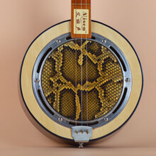 京炫（JINGXUAN)艾丽声 三弦秦琴乐器蟒蛇皮圆形秦琴广东民族弹拨乐器老人乐器 款半音