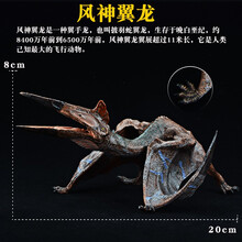 仿真恐龙玩具动物模型蛋塑胶霸王龙镰刀龙三角龙翼龙牛龙儿童套装 风神翼龙 【实心】