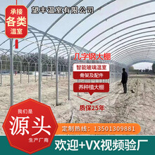 鲸榜几字钢日光春秋遮阳温室养殖种植农业用蔬菜钢管热镀锌椭圆管骨架智能玻璃连体PC阳光板大棚子全套配件 申经理热线13501309881