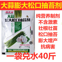 大蒜专用膨大剂生根壮苗大蒜松口抽苔膨大素抗病抗逆增产高产 （浓缩型）大蒜膨大松口 5袋